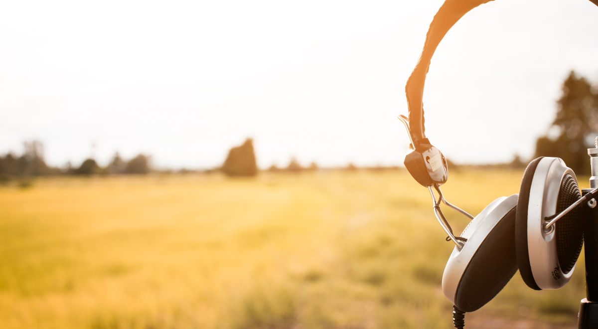 137f184c5d4-e4a2-4622-bccb-d7dc09f5e3a8.jpg
